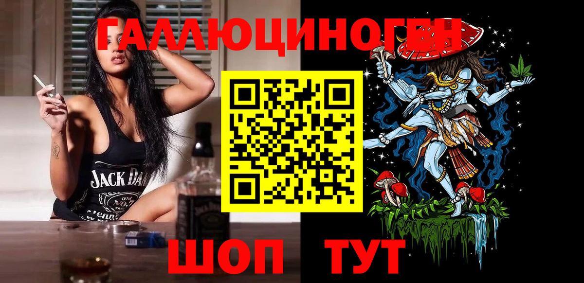 Псилоцибиновые грибы Psilocybe Лосино-Петровский
