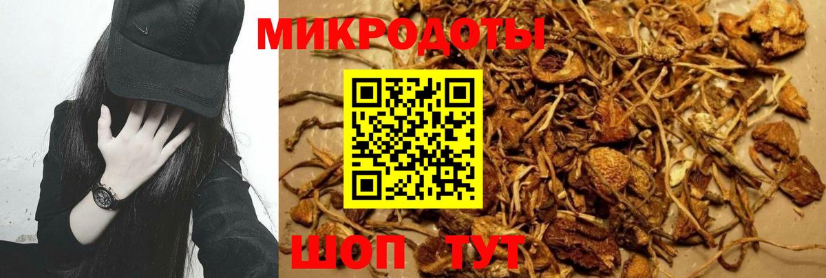 Лосино-Петровский  Галлюциногенные грибы GOLDEN TEACHER  Вход с VPN 