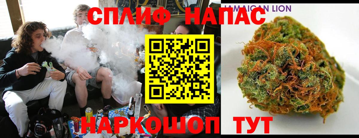 Канабис планчик Лосино-Петровский